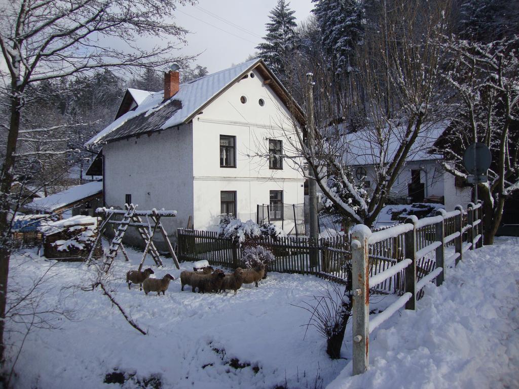 Hotel Petrovicky Mlyn à Kasanice Extérieur photo